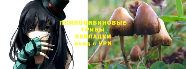 твердый Касимов
