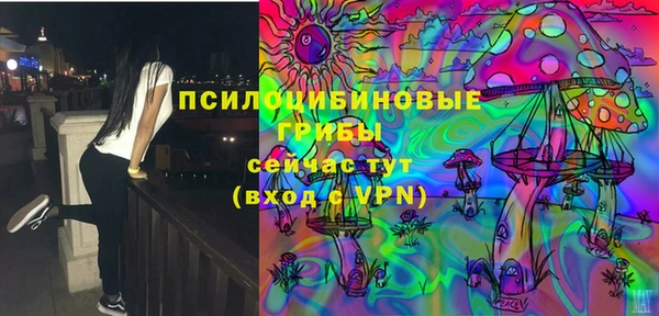 спайс Каменногорск