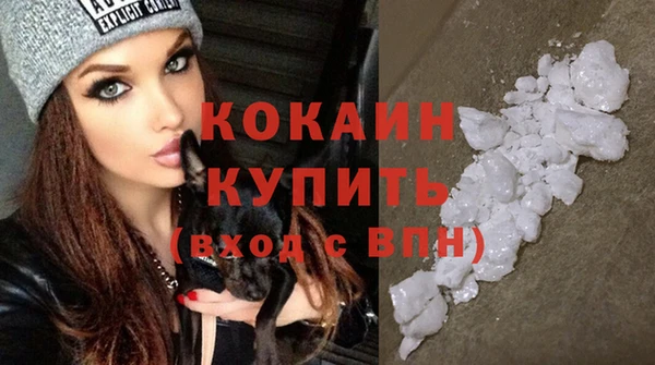 хмурый Карпинск