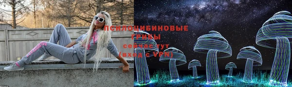 твердый Касимов