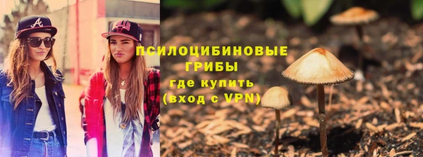 спайс Каменногорск