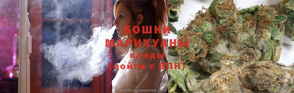 ГАЛЛЮЦИНОГЕННЫЕ ГРИБЫ Инсар